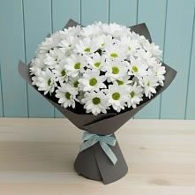 Букет белые хризантемы в Касимове Букет цветов из:  Хризантемы в Касимове
