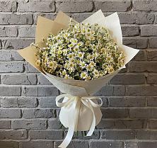 Букет цветов из:  Ромашки в Касимове