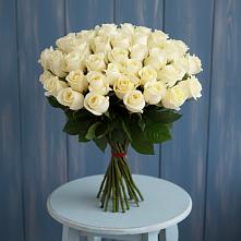 Букет 51 Белая роза Эдлесс Лав в Касимове