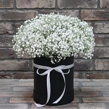 Композиция коробка гипсофил #REPLACE_PRED# Касимове Цветочная композиция из Гипсофила в шляпной коробке #REPLACE_PRED# Касимове