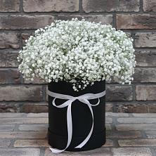 Композиция коробка гипсофил в Касимове Цветочная композиция из Гипсофила в шляпной коробке в Касимове