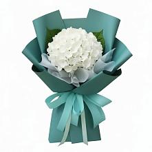 Букет Лёгкое облако в Касимове Букет цветов из:  Гортензия в Касимове